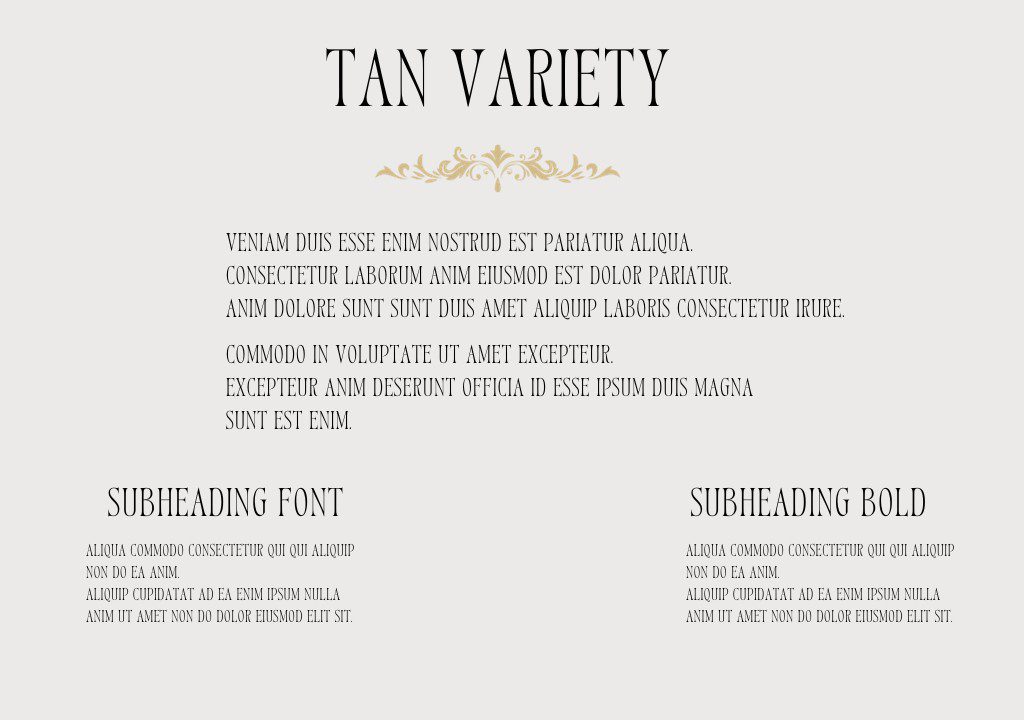 tanvariety-canva-font