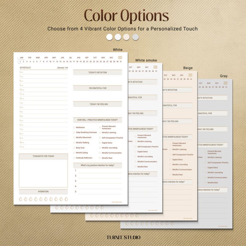 daily mindfulness journal color options