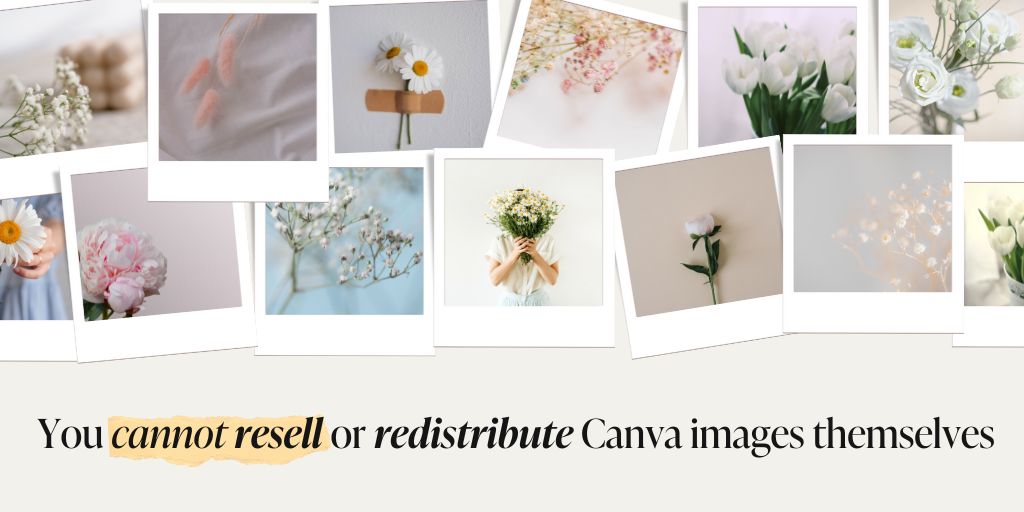 A graphic saying "You cannot resell or redistribute Canva images themselves"