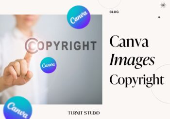 A graphic saying "canva image copyright"