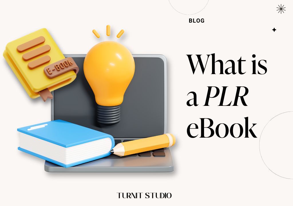 what-is-plr-ebook